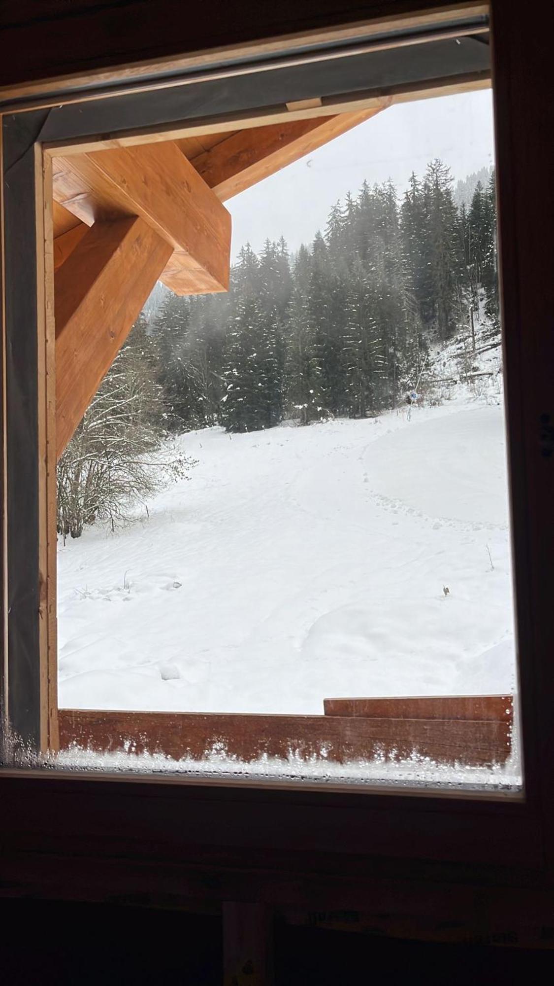 La Rose Des Neiges A Châtel Kültér fotó